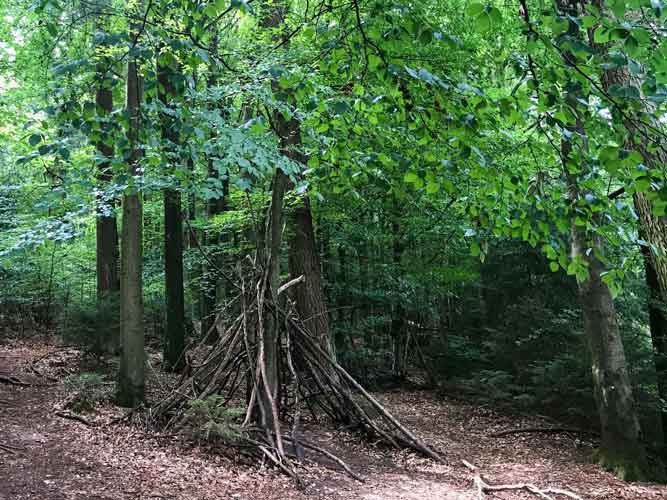 Unterschied Naturkindergarten und Waldkindergarten