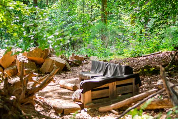 Gründe für den Waldkindergarten: Waldsofa & Spaß im Wald