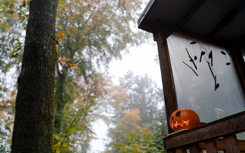 Halloween Kostüm Kinder